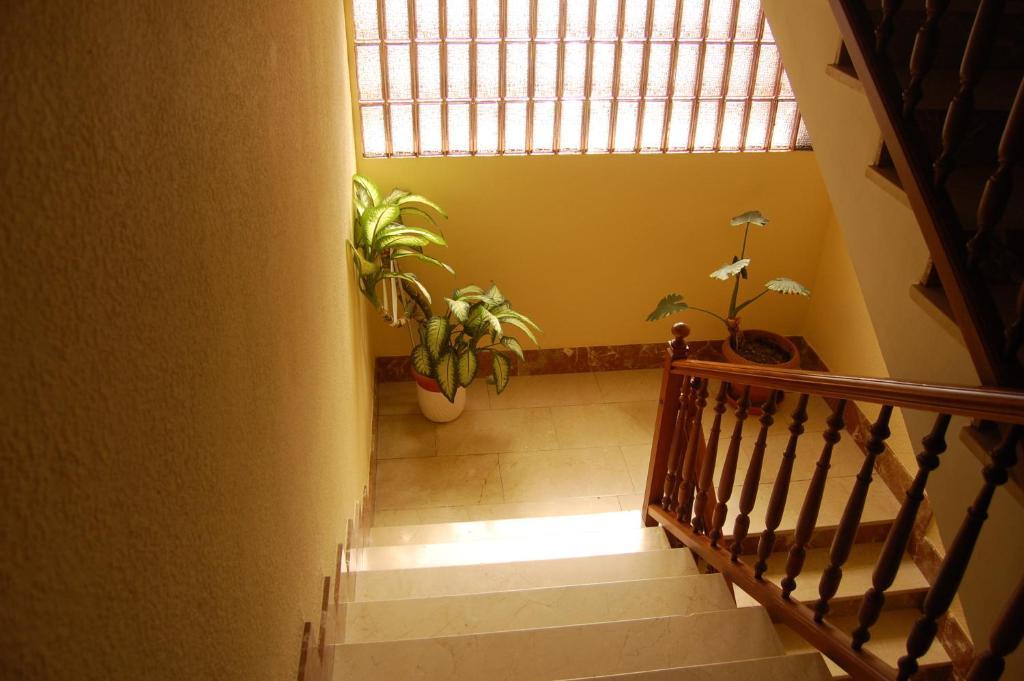 Hotel Balfagon Calanda Dış mekan fotoğraf